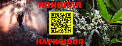 прущая мука Сланцы