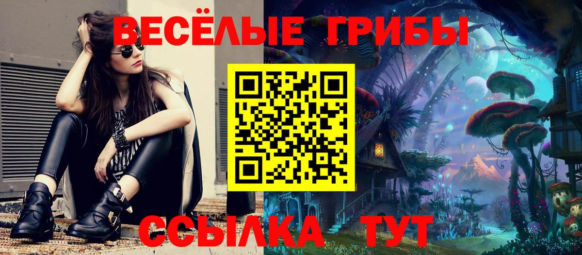 Галлюциногенные грибы MAGIC MUSHROOMS  Вход с VPN  Ногинск 