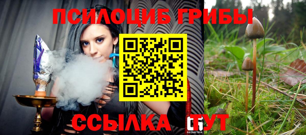 Галлюциногенные грибы мухоморы Ногинск